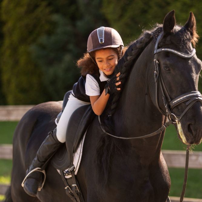 Steckenpferd und Hobby Horsing